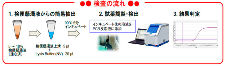 検査の流れ