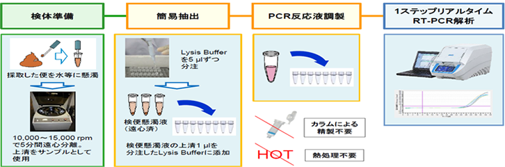 検査の流れ