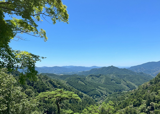 環境コンサルタントとは?