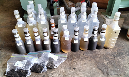 データ集計・評価