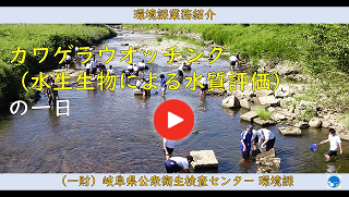 カワゲラウオッチング（水生生物による水質評価）