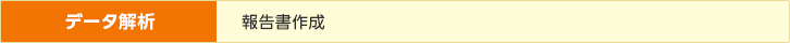 データ解析／報告書作成
