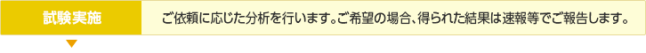 試験実施／ご依頼に応じた分析を行います。ご希望の場合、得られた結果は速報等でご報告します。