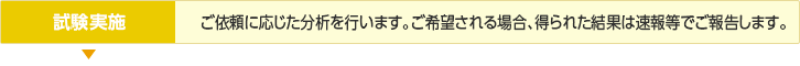 試験実施／ご依頼に応じた分析を行います。ご希望される場合、得られた結果は速報等でご報告します。