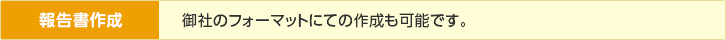 報告書作成/御社のフォーマットにての作成も可能です。