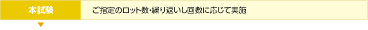 本試験／ご指定のロット数・繰り返いし回数に応じて実施