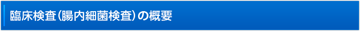 臨床検査（腸内細菌検査）の概要