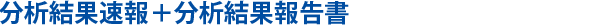 分析結果速報＋分析結果報告書