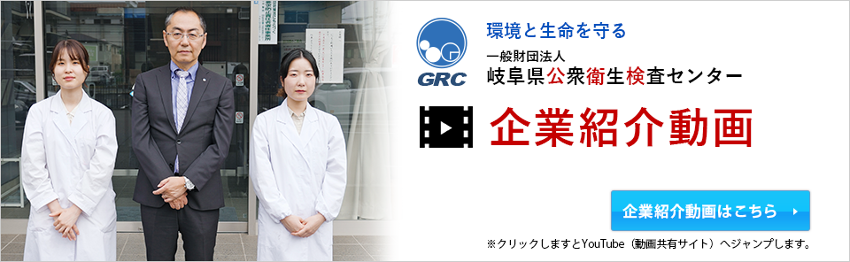 企業紹介動画ページ