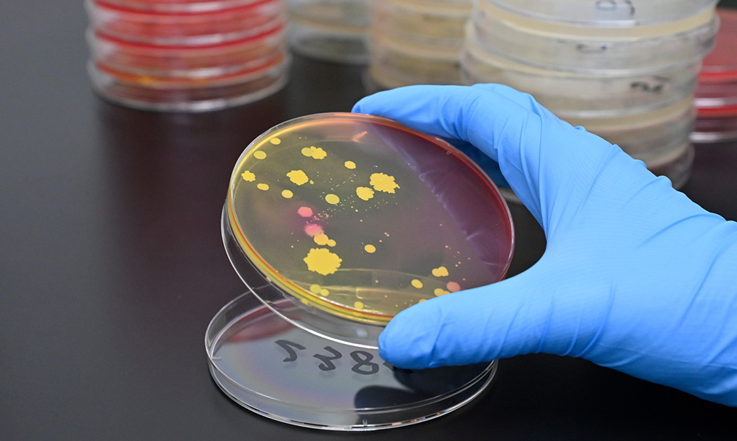食品検査の様子